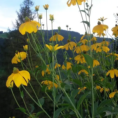 Haus Laerchenheim * Wagrain