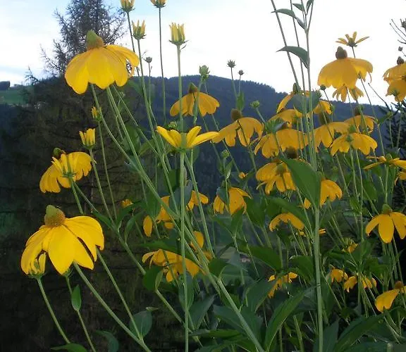 Haus Laerchenheim * וואגריין